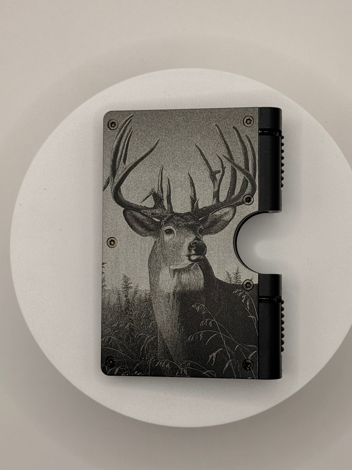 Buck in a Field