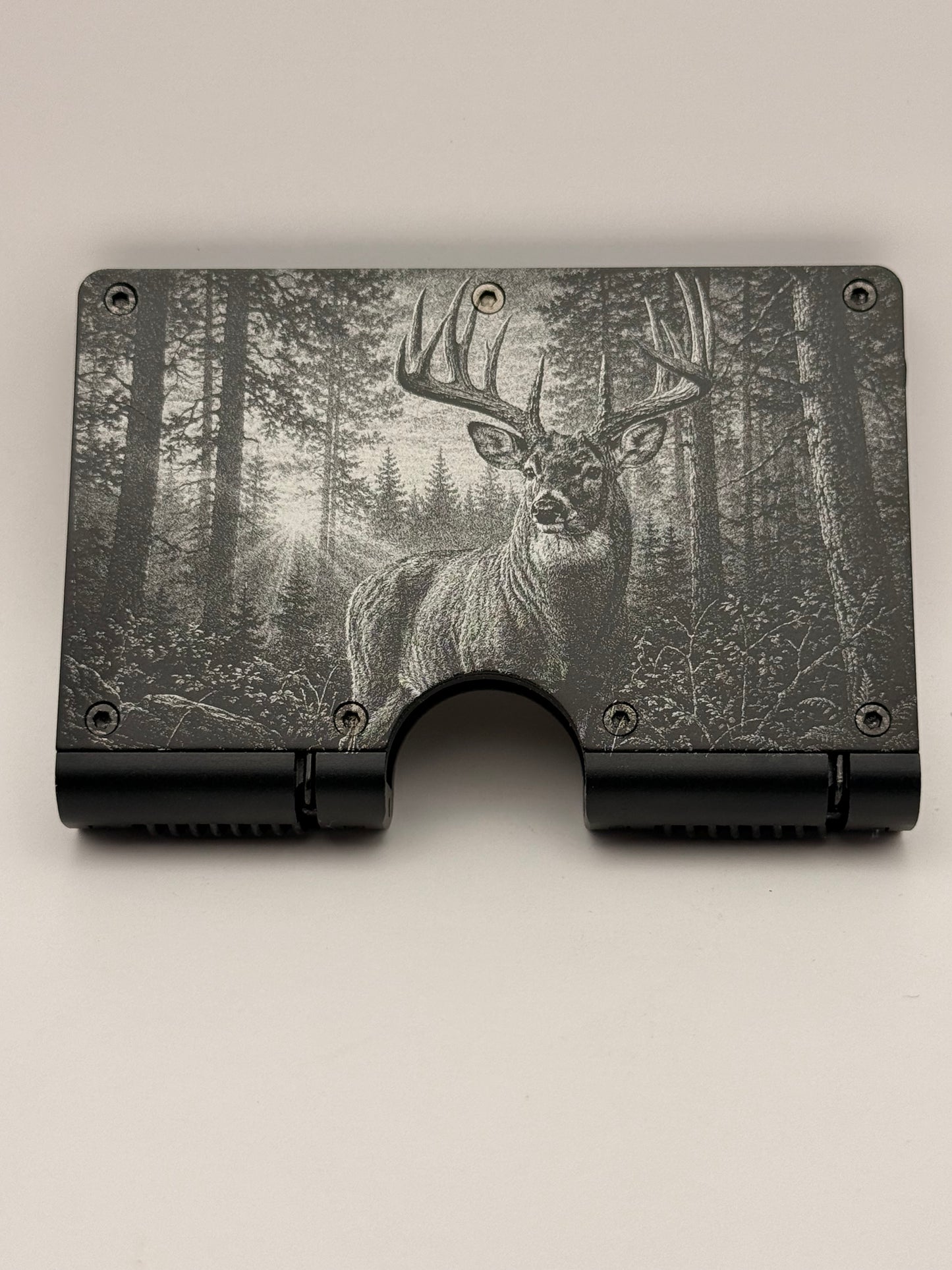 Buck in the Woods