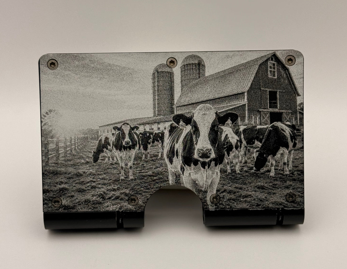 Barn with Holstein Cows